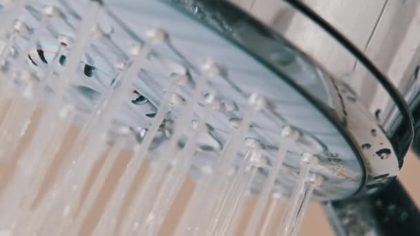 Macro Shot Water Drops Flowing Shower Head Bathroom Slow Motion — Video