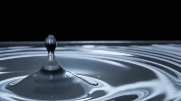 Water Drop Falls Water Surface Slow Motion Super Macro Shot — Stock Video