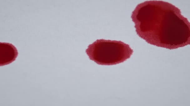 Red Blood Drips White Paper Macro Shot Inglês Gotas Sangue — Vídeo de Stock