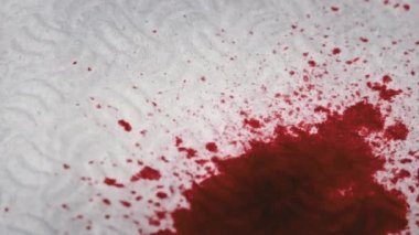 Kırmızı Kan Beyaz Kağıda Damlıyor, Macro Shot. Kan damlaları kağıt dokusuna karışır. Kırmızı mürekkep kağıda damlıyor. Gore beyaz bir yüzeye sıçrıyor. Kan lekeleri beyaz arkaplanda görünüyor.
