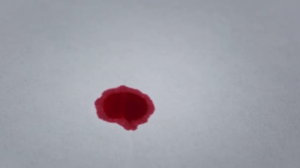 Red Blood Drips White Paper Macro Shot Drops Blood Absorbed — Vídeos de Stock