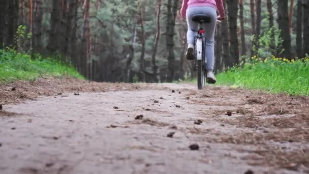 Kobieta Rowerze Jeżdżąca Leśną Ścieżką Pomiędzy Zielonymi Drzewami Wiejskim Parku — Wideo stockowe