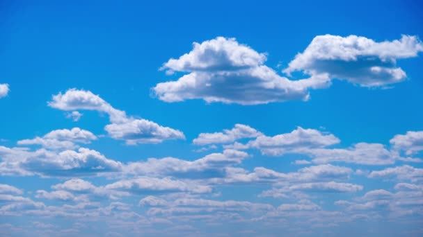 Timelapse Białych Chmur Poruszać Się Rozpuszczać Błękitnym Niebie Letni Krajobraz — Wideo stockowe