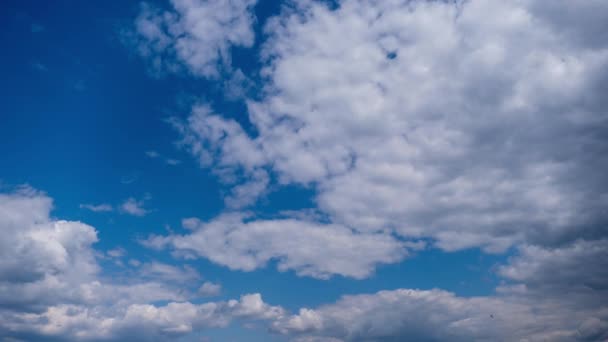 Облака Голубом Небе Медленно Движутся Меняют Форму Timelapse Слоистые Перистые — стоковое видео