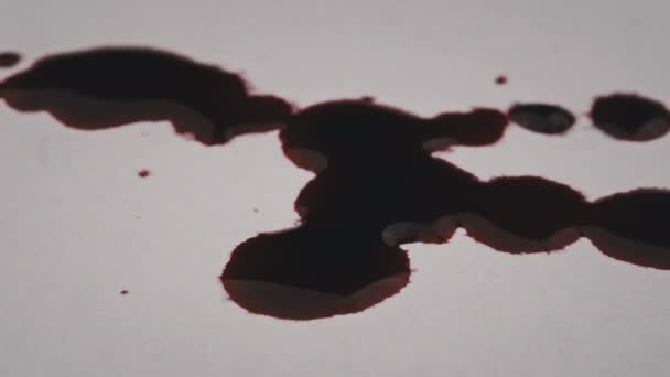 Red Blood Drips White Paper Macro Shot Drops Blood Absorbed — Stockvideo