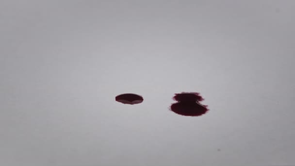 Bluttropfen Fallen Auf Weißes Papier Makro Rotes Blut Wird Das — Stockvideo