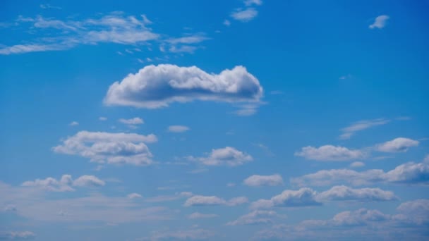 Białe Chmury Poruszają Się Rozpuszczają Niebieskim Niebie Timelapse Puszyste Puszyste — Wideo stockowe