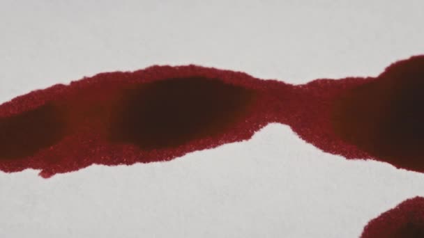 Red Blood Drips White Paper Macro Shot Inglês Gotas Sangue — Vídeo de Stock