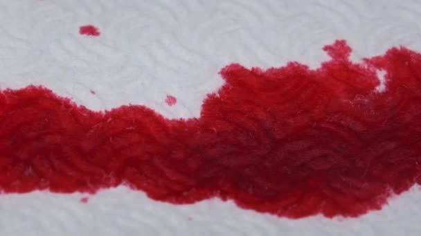 Red Blood Drips White Paper Macro Shot Drops Blood Absorbed — Vídeos de Stock