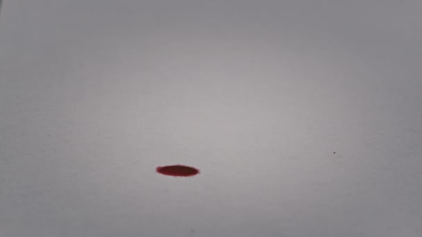 Gotas Sangue Caem Papel Branco Macro Sangue Vermelho Absorvido Pelo — Vídeo de Stock