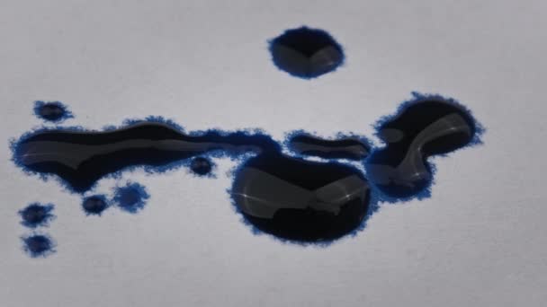 Drops Blue Ink Fall White Paper Macro Paint Absorbed White — 图库视频影像