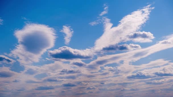 Vita Moln Rör Sig Och Upplöses Den Blå Himlen Timelapse — Stockvideo