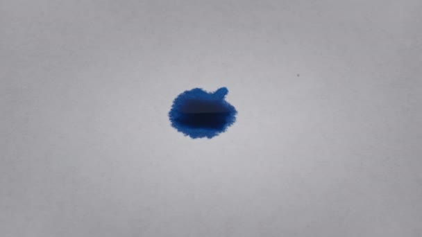 Drop Blue Ink Falls White Paper Macro Ink Absorbed White — Vídeo de stock