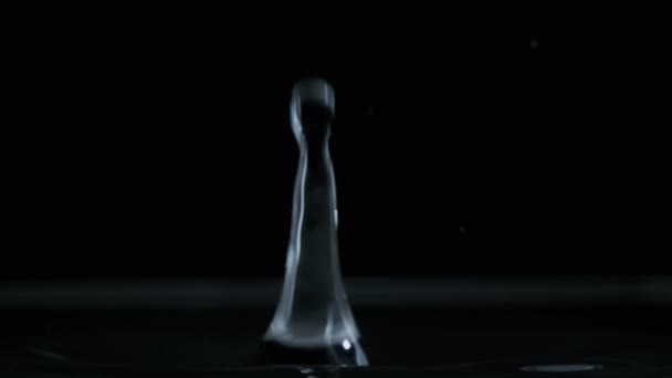 Water Drop Falls Water Surface Slow Motion Black Background Macro — Stock Video