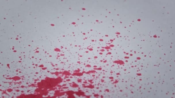 Κόκκινο Αίμα Στάζει Στη Λευκή Βίβλο Μακρο Βολή Σταγόνες Αίματος — Αρχείο Βίντεο