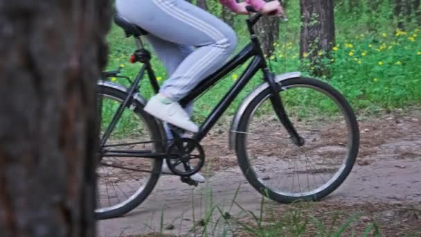 Mulher Bicicleta Andando Caminho Florestal Entre Árvores Verdes Parque Rural — Vídeo de Stock