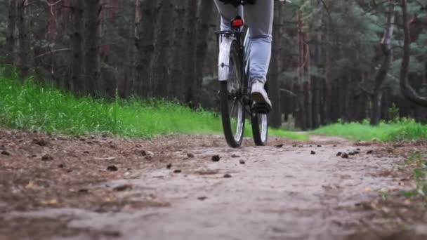 Młoda Kobieta Rowerze Jeździ Leśną Ścieżką Letni Dzień Zwolnionym Tempie — Wideo stockowe