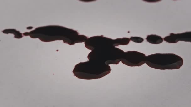 Rood Bloed Druipt Het Witboek Macro Shot Bloeddruppels Worden Geabsorbeerd — Stockvideo