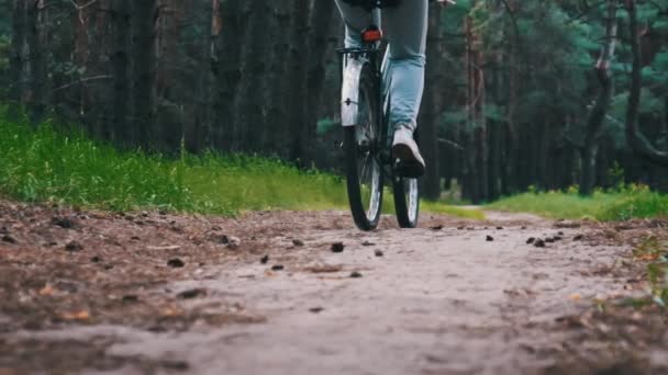 Mujer Bicicleta Sendero Forestal Entre Árboles Verdes Parque Rural Mujer — Vídeo de stock