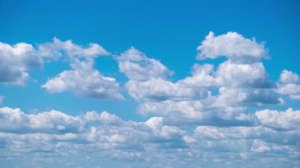 積雲の時間経過は 青空に移動します 光の雲は雲の空間で形を変える 素晴らしい空だ 雲の背景 時間の経過 コピースペース 天候の変化 — ストック動画