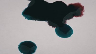 Red and blue ink drops fall on a white sheet of paper and mix close-up. The process of absorbing liquid into paper. Paint on a white textured surface. The ink spreads and soaks into the sheet. 4K