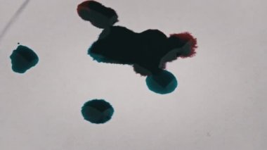 Red and blue ink drops fall on a white sheet of paper and mix close-up. The process of absorbing liquid into paper. Paint on a white textured surface. The ink spreads and soaks into the sheet. 4K
