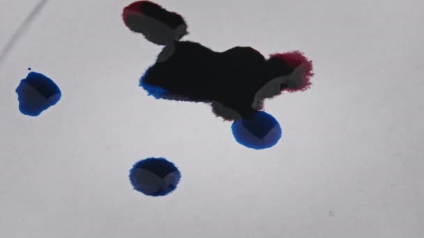 Gotas Tinta Vermelha Azul Caem Uma Folha Branca Misturam Close — Vídeo de Stock