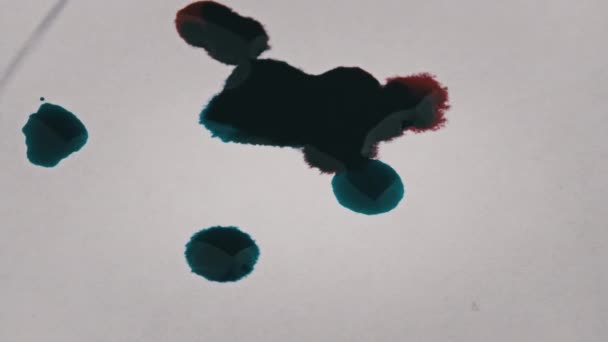 Red Blue Ink Drops Fall White Sheet Paper Mix Close — Vídeo de stock