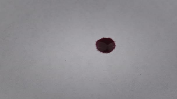 Baixa Vermelha Tinta Cai Papel Branco Absorvido Macro Sangue Vermelho — Vídeo de Stock