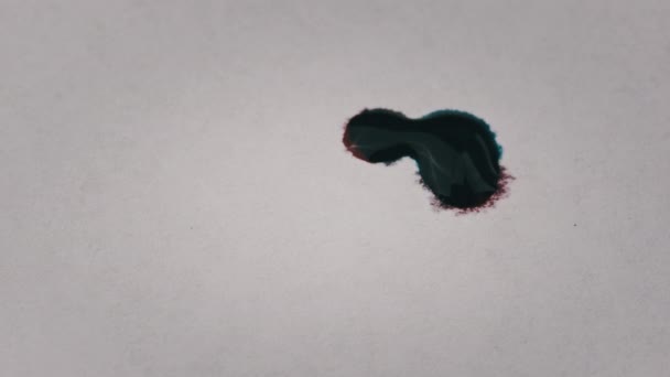 Red Blue Ink Drops Fall White Sheet Paper Mix Close — Wideo stockowe