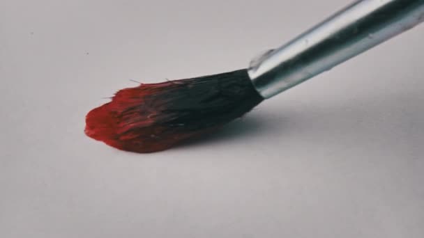 Brush Red Paint Draws Line White Paper Super Macro Drawing — ストック動画