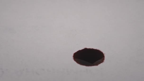 Red Drop Ink Falls White Paper Absorbed Macro Red Blood — Vídeos de Stock