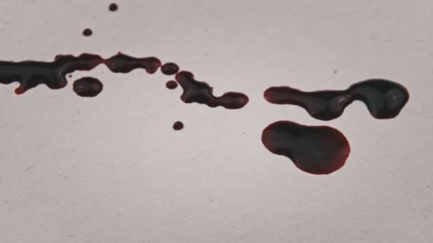 Drops Blood Fall White Paper Macro Red Blood Absorbed White — Stock Video