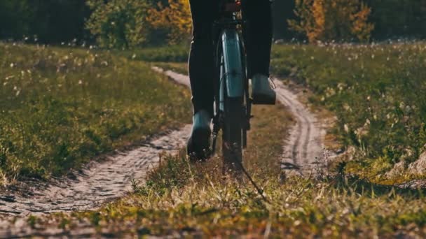 晴れた夏の日には緑豊かな地域の森の道に沿って自転車に乗る女性 スローモーション 自転車に乗っている女性は田舎の牧草地の近くをトレイルします レジャー活動 健康的なサイクリングライフスタイル — ストック動画