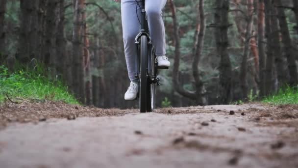 Donna Bicicletta Sentiero Forestale Tra Alberi Verdi Parco Campagna Giovane — Video Stock