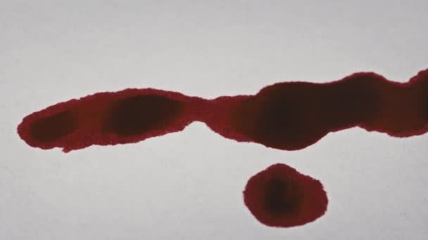 Gotas Sangue Caem Papel Branco Macro Sangue Vermelho Absorvido Pelo — Vídeo de Stock