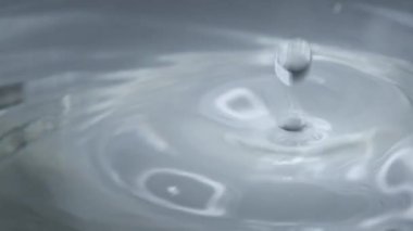 Su damlası su yüzeyine yavaş çekimde düşer, süper makro çekim. Su yüzeyine çarptıktan sonra farklı daireler oluşur. Sıvının yüzey geriliminin etkisi. 240 fps.