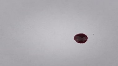 Red drop of ink falls on a white paper and absorbed, macro. Red blood drips onto white sheet. Drop absorbed into texture of paper. Gore on a white surface. Bloodstains reveal on white background.