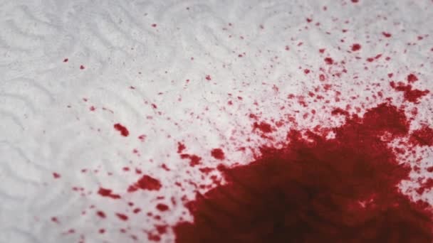 Красная Кровь Капает Белую Бумагу Макро Выстрел Капли Крови Впитываются — стоковое видео