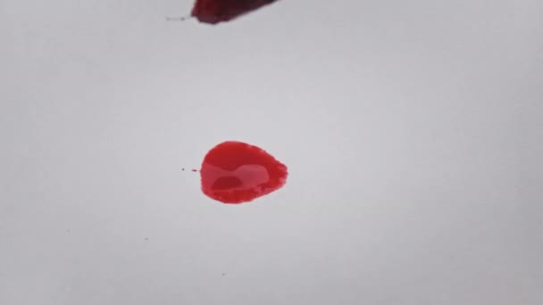 Пензлик Червоною Фарбою Малює Лінію Білому Папері Супермакросі Малюємо Лінію — стокове відео