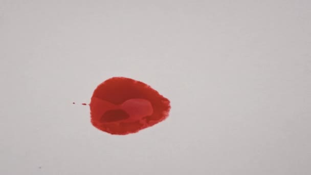 Escova Com Tinta Vermelha Desenha Uma Linha Papel Branco Macro — Vídeo de Stock