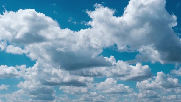 Timelapse Cumulus Clouds Moving Blue Sky Light Clouds Change Shape — Stockvideo