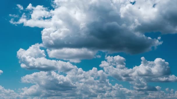 Timelapse Cumulus Clouds Moving Blue Sky Light Clouds Change Shape — Video Stock