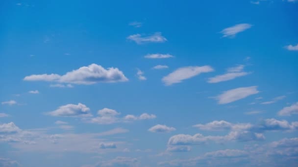 白い雲が移動し 青い空に溶解し タイムラプス ふわふわのサークル雲は雲の中で形を変えます 偉そうな空だ 夏の雲 時間の経過 天気を変えろ 雲の背景 — ストック動画