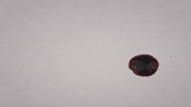 Gota Roja Tinta Cae Sobre Papel Blanco Absorbe Macro Sangre — Vídeos de Stock