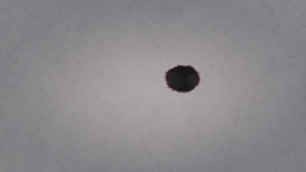 Une Goutte Encre Rouge Tombe Sur Papier Blanc Est Absorbée — Video