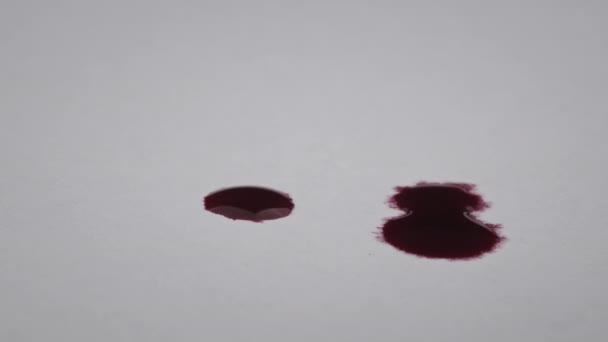 Краплі Крові Падають Білий Папір Макросом Червона Кров Всмоктується Білий — стокове відео