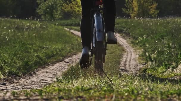 晴れた夏の日には緑豊かな地域の森の道に沿って自転車に乗る女性 スローモーション 自転車に乗っている女性は田舎の牧草地の近くをトレイルします レジャー活動 健康的なサイクリングライフスタイル — ストック動画