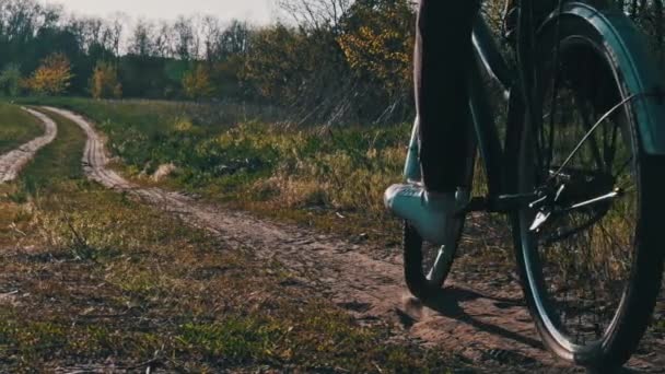 Young Woman Bicycle Rides Green Forest Path Sunny Summer Day — Stockvideo