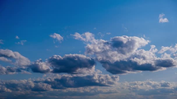 Timelapse Vita Moln Rör Sig Och Upplöses Den Blå Himlen — Stockvideo